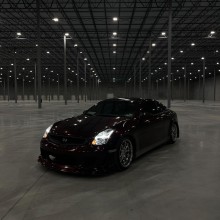 Gloss Black Rose Vinyl Wrap