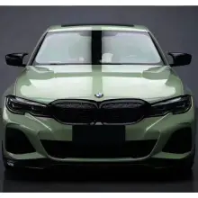 Light Khaki Green Car Vinyl Wrap