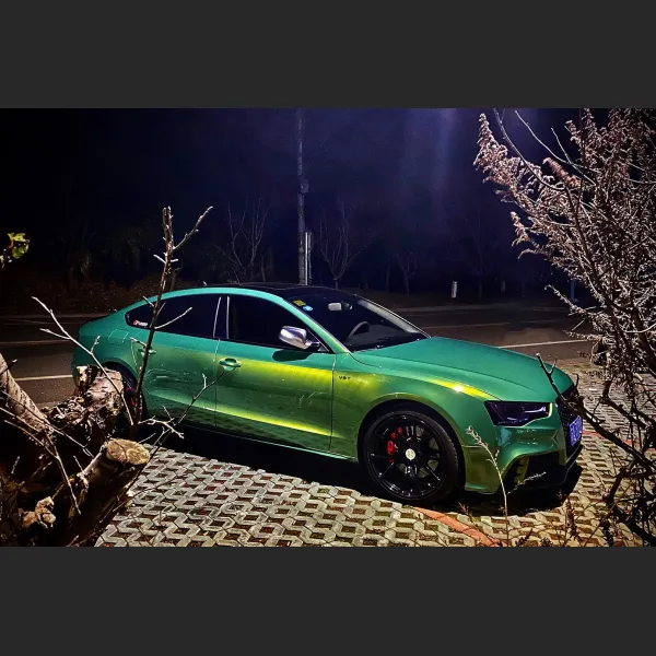 Ravoony Gloss Aston Martin Iridescent Emerald Green Car Wrap
