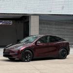 Ravoony Plus Gloss Black Rose Vinyl Wrap Tesla Model Y Wrap
