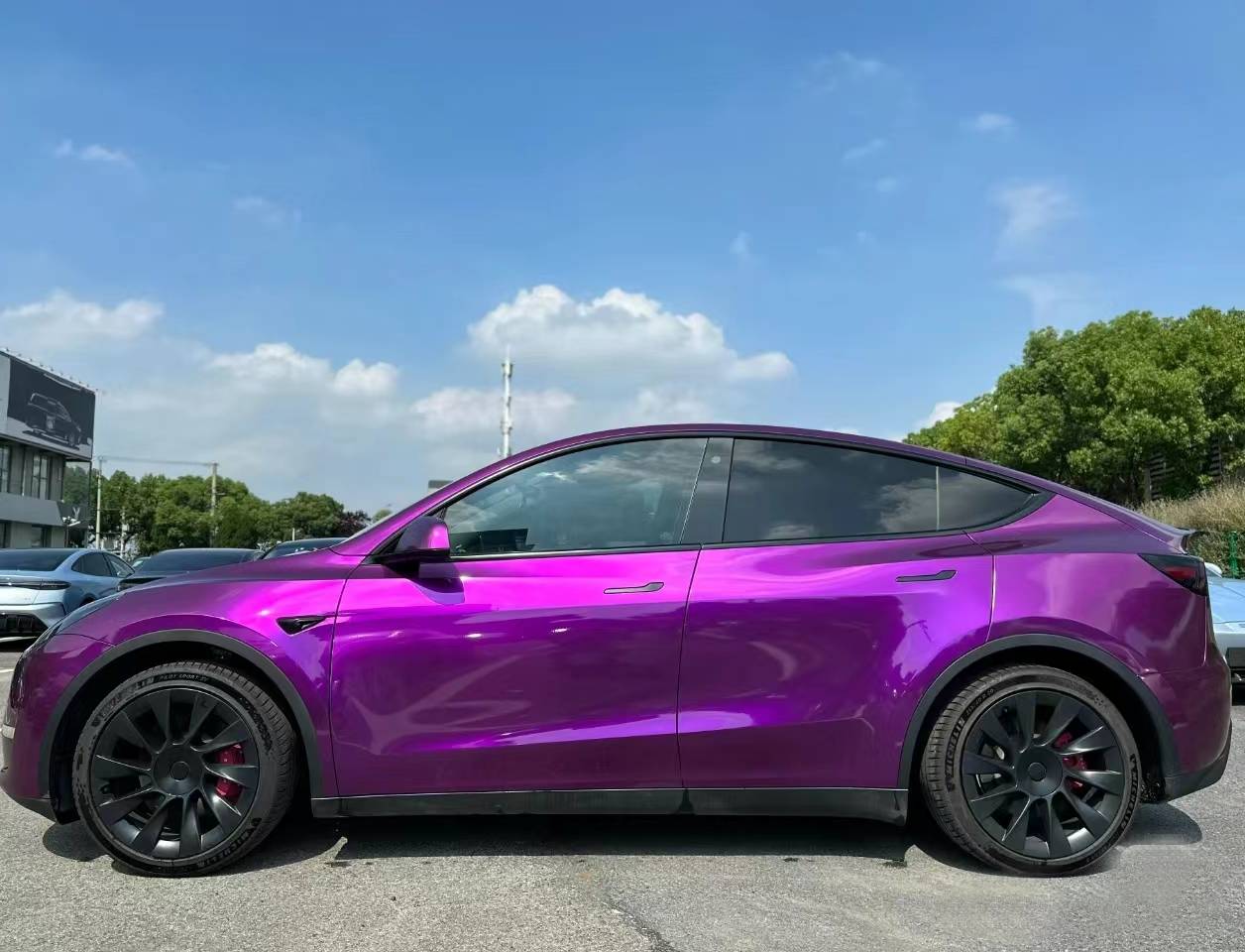 Ravoony Plus Ultra Gloss Metal Paint Grape Purple Vinyl Wrap Tesla Model Y Wrap