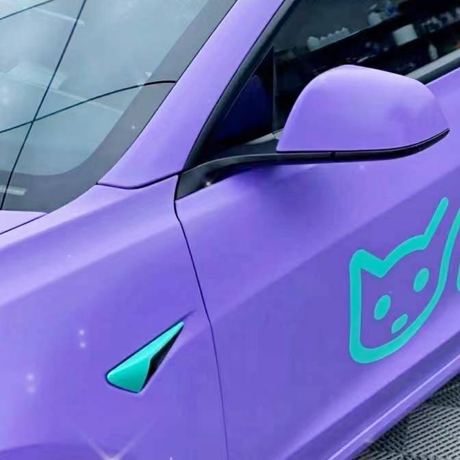 Ravoony Plus Matte Lavender Car Wrap Tesla Model 3 Wrap