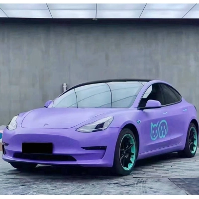 Ravoony Plus Matte Lavender Car Wrap Tesla Model 3 Wrap 02