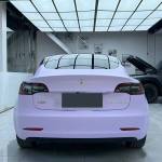 Ravoony Plus Ultra-Matte Violet Star Car Wrap Tesla Model 3 Wrap