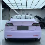Ravoony Plus Ultra-Matte Violet Star Car Wrap Tesla Model 3 Wrap