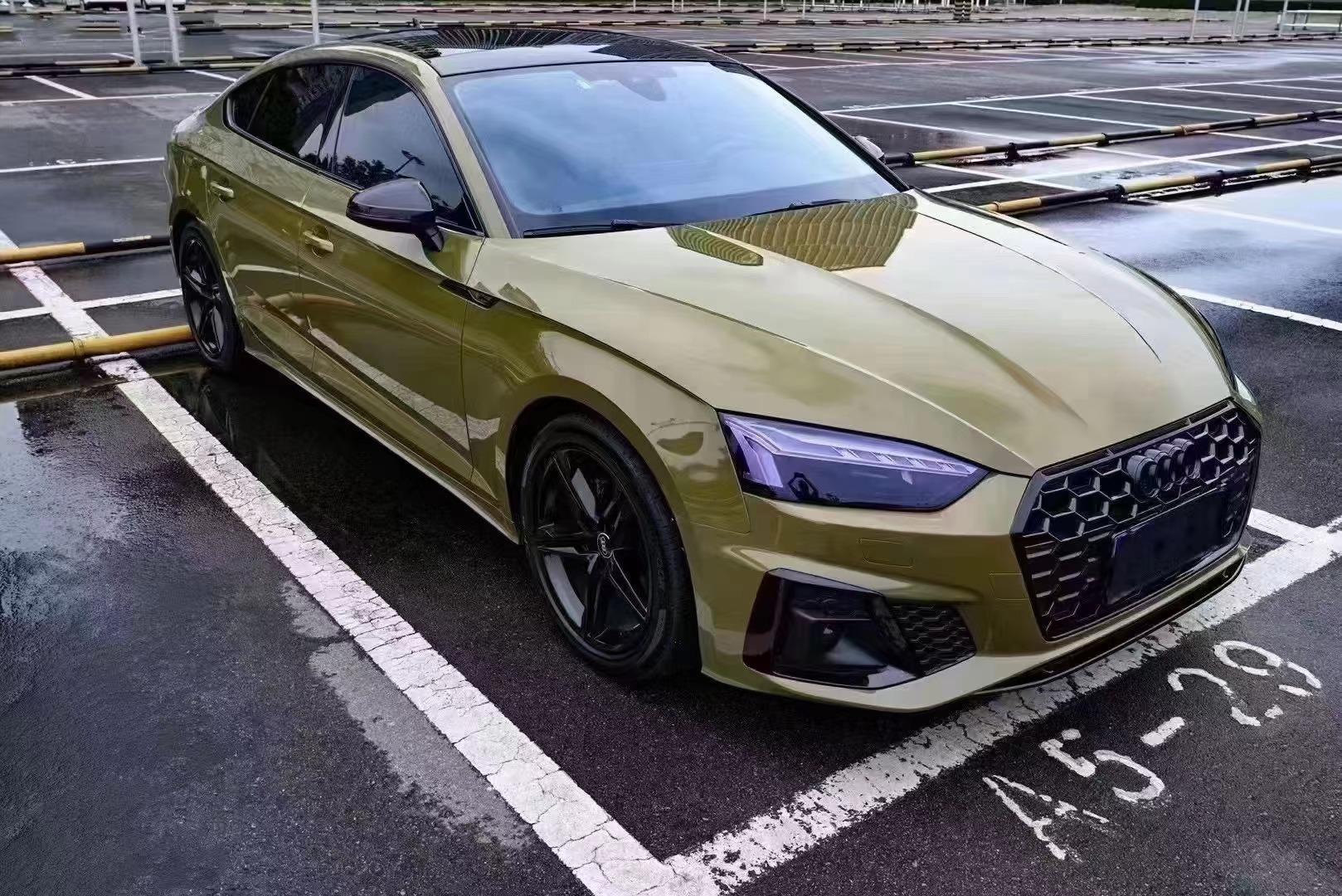 Ravoony Plus Glossy Crystal Fir Green Car Vinyl Wrap