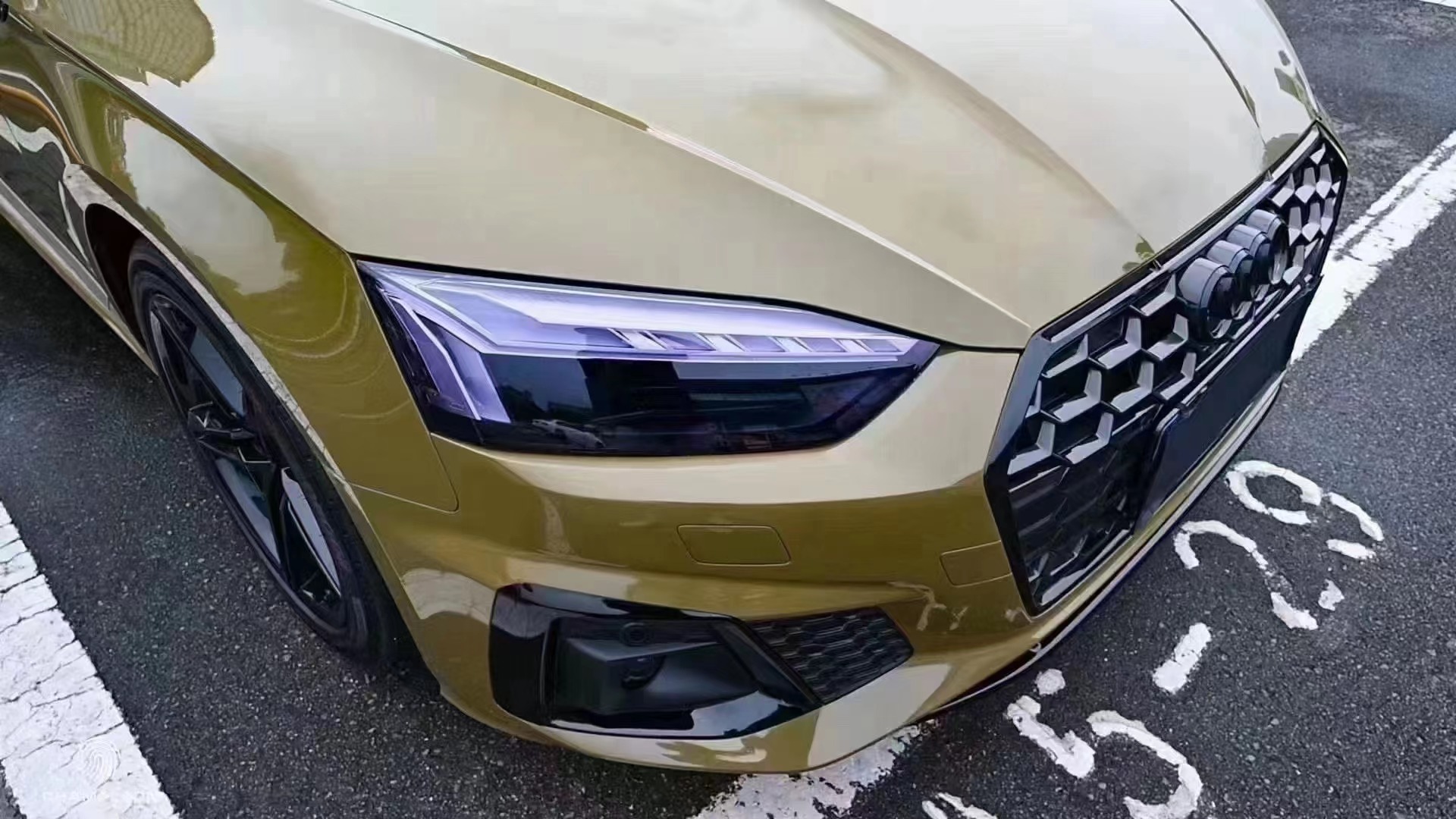 Ravoony Plus Glossy Crystal Fir Green Car Vinyl Wrap