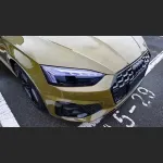 Ravoony Plus Glossy Crystal Fir Green Car Vinyl Wrap