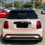 Ravoony Plus Gloss Macaron Peach Pink Vinyl Car Wrap Mini Cooper Wrap