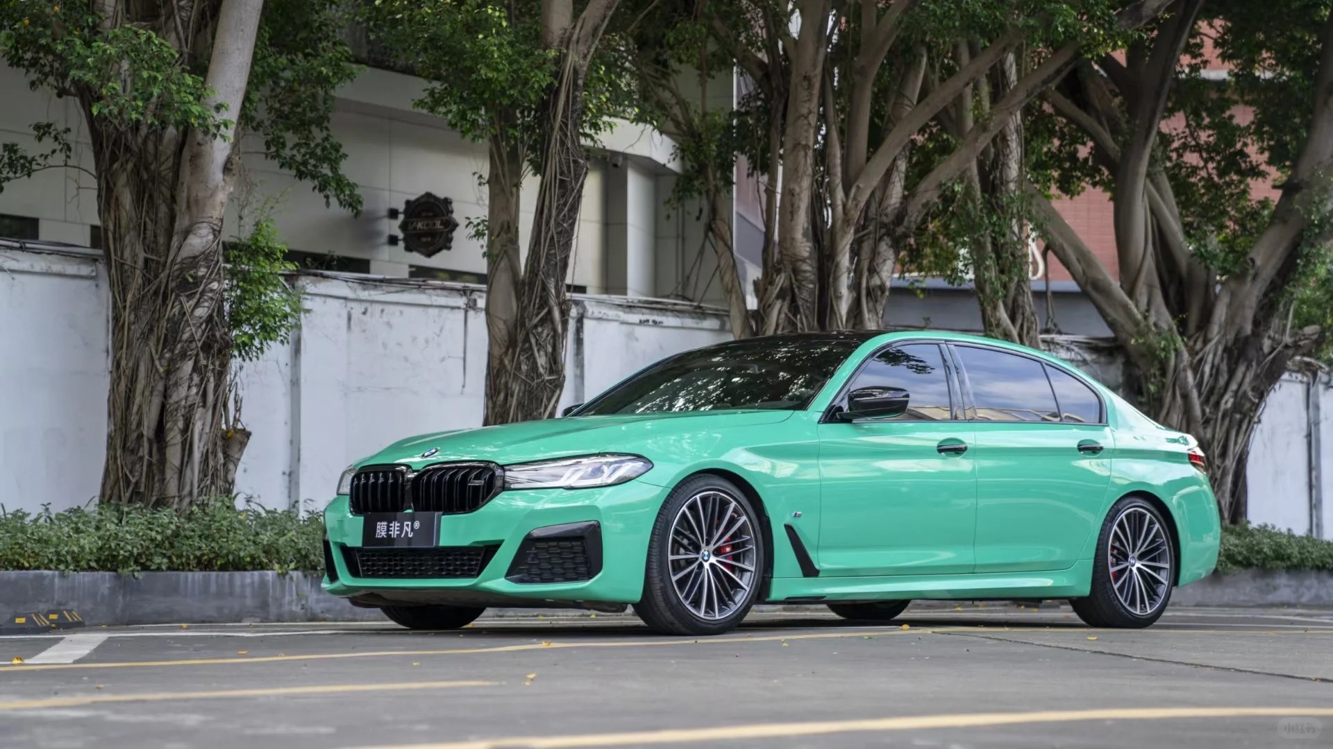 Ravoony Plus PET Glossy Porsche Mint Green Car Wrap