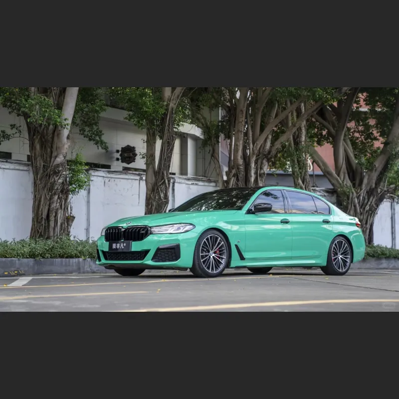 Ravoony Plus Glossy Porsche Mint Green Car Wrap