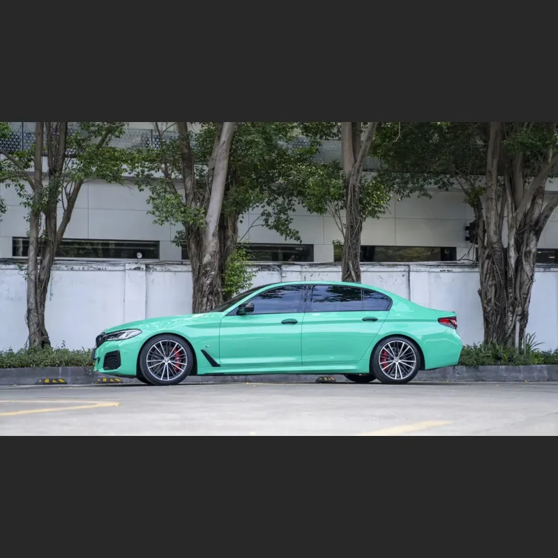Ravoony Plus Glossy Porsche Mint Green Car Wrap