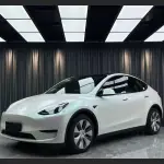Ravoony Plus Matte Aurora White Car Vinyl Wrap