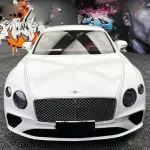 Ravoony Pro TPU Gloss Crystal White PPF Film