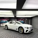 Ravoony Pro TPU Gloss Crystal White PPF Film