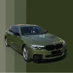 Ravoony Basic Glossy Olive Light Green Car Wrap