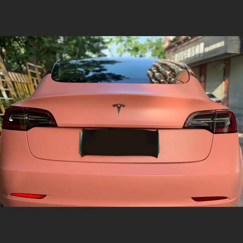 Ravoony Plus Ceramics Paggy Pink Car Vinyl Wrap
