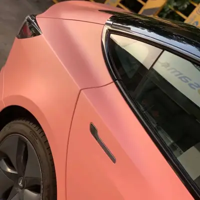 Ravoony Plus Ceramics Paggy Pink Car Vinyl Wrap 02