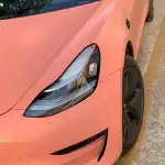 Ravoony Plus Ceramics Paggy Pink Car Vinyl Wrap