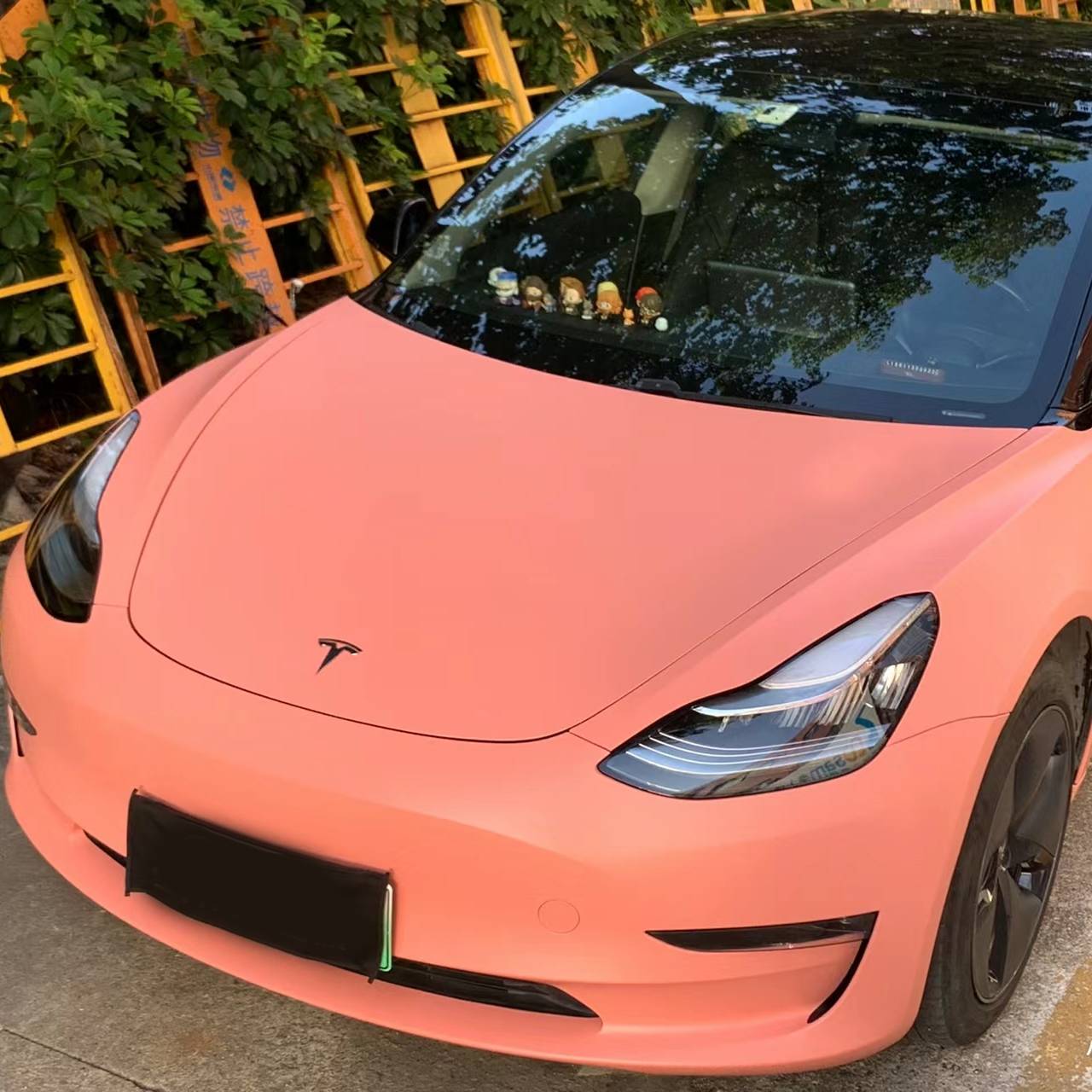 Ravoony Plus Ceramics Paggy Pink Car Vinyl Wrap