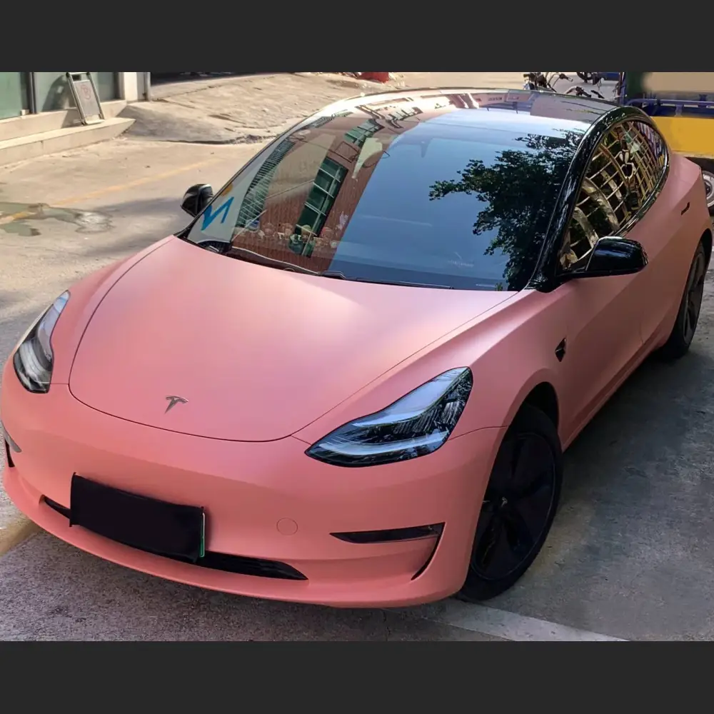 Ravoony Plus Ceramics Paggy Pink Car Vinyl Wrap