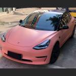 Ravoony Plus Ceramics Paggy Pink Car Vinyl Wrap