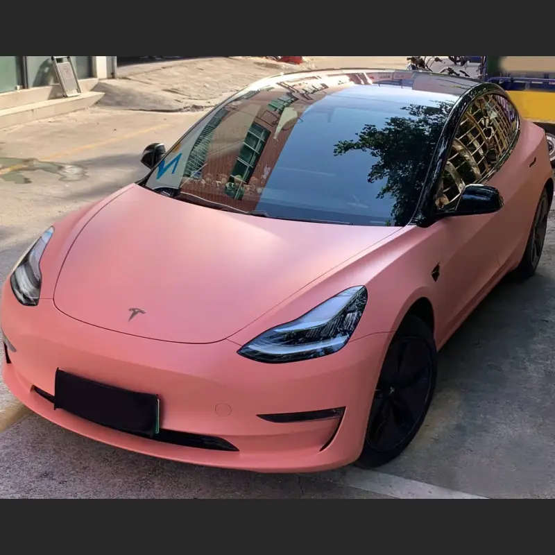 Ravoony Plus Ceramics Paggy Pink Car Vinyl Wrap