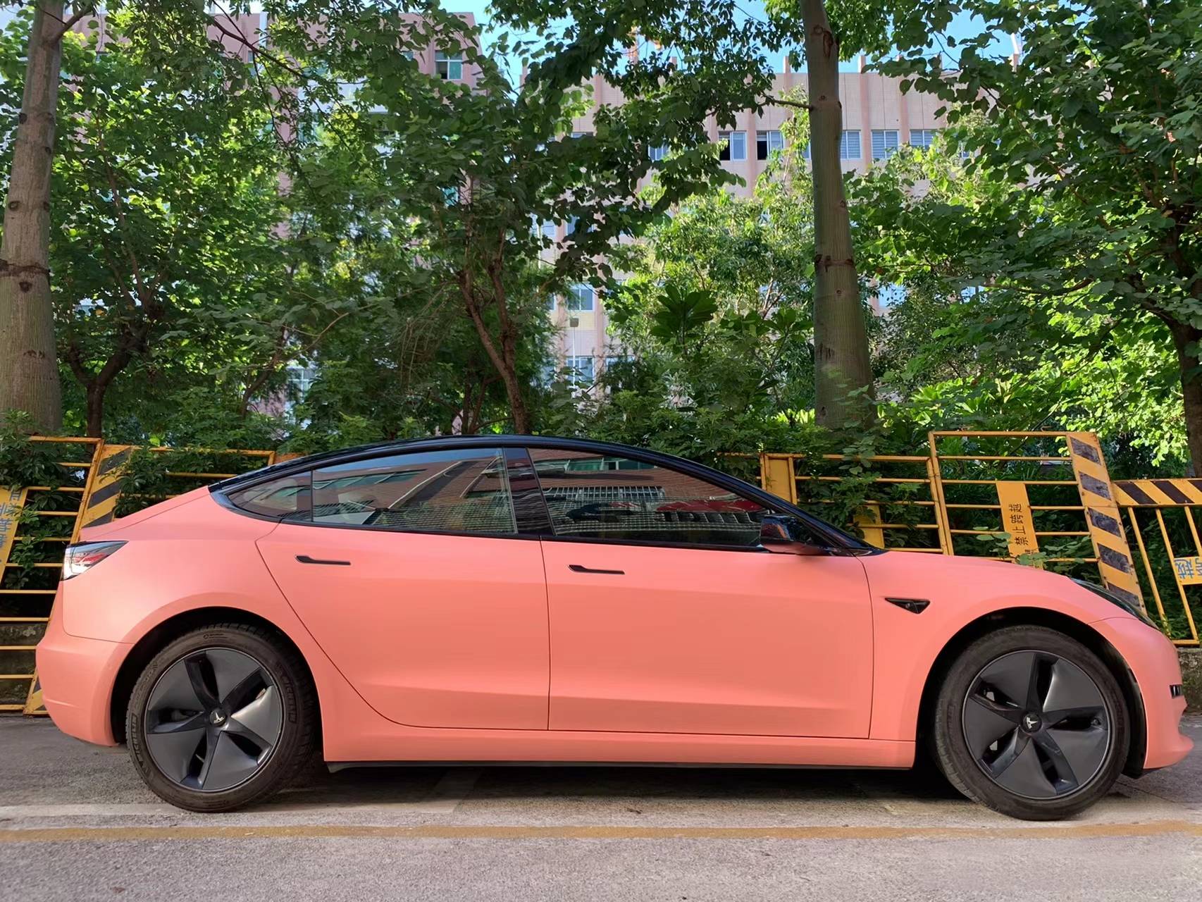 Ravoony Plus Ceramics Paggy Pink Car Vinyl Wrap