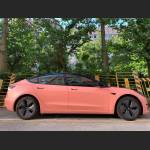 Ravoony Plus Ceramics Paggy Pink Car Vinyl Wrap