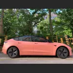 Ravoony Plus Ceramics Paggy Pink Car Vinyl Wrap