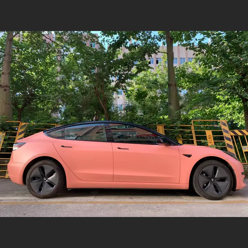 Ravoony Plus Ceramics Paggy Pink Car Vinyl Wrap