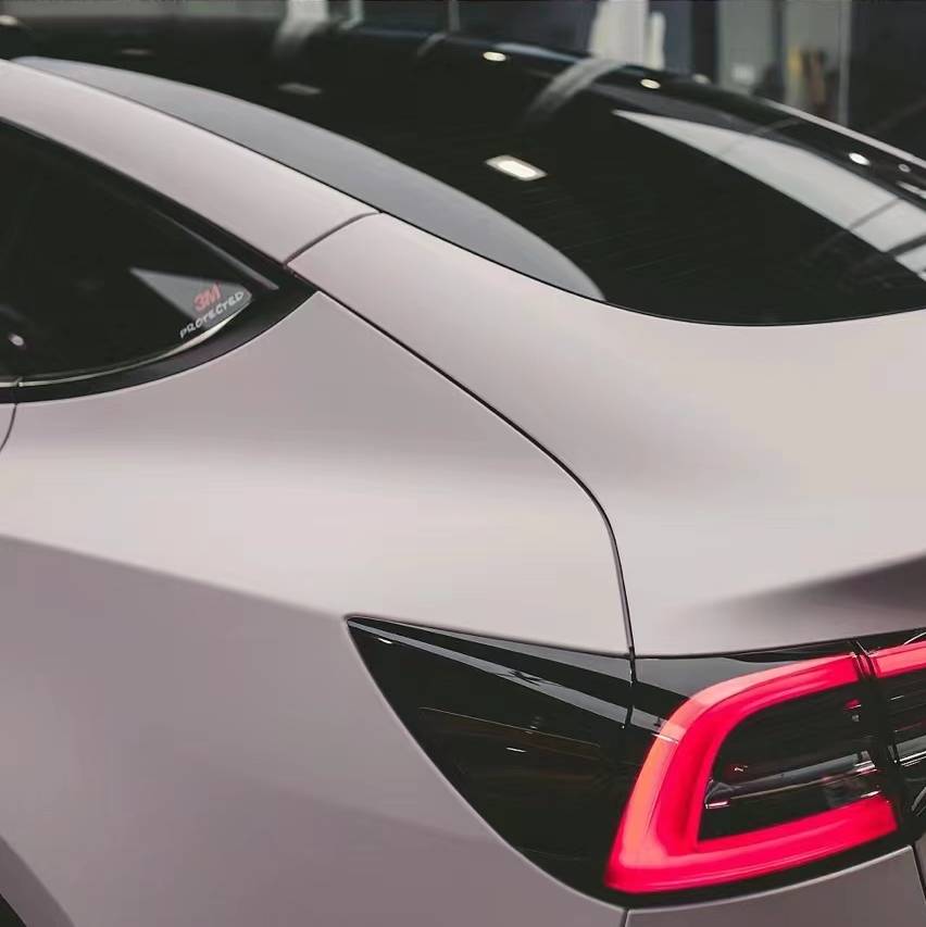 Ravoony Plus Flat Matte Light Pink Car Wrap