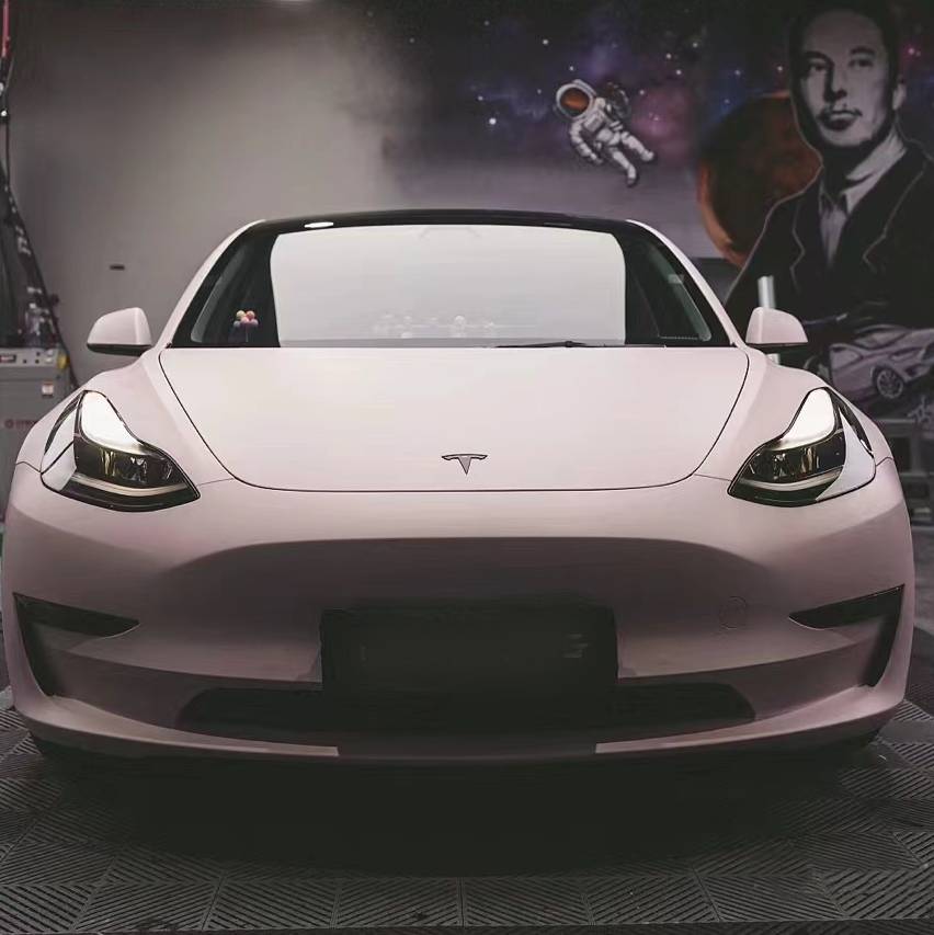 Ravoony Plus Flat Matte Light Pink Car Wrap