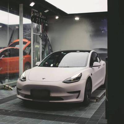 Ravoony Plus Flat Matte Light Pink Car Wrap 02