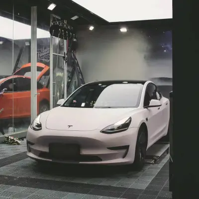 Ravoony Plus Flat Matte Light Pink Car Wrap 02