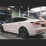 Ravoony Plus Flat Matte Light Pink Car Wrap