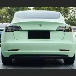 Ravoony Plus Matte Hazy Green Car Wrap
