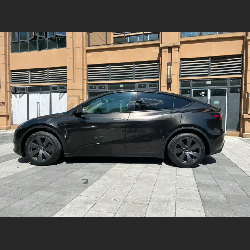 Ravoony Basic Glossy Metal Paint Black Car Wrap