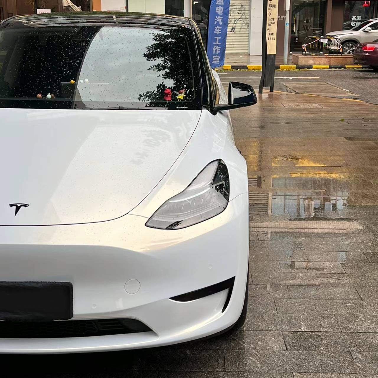 Ravoony Pro TPU Gloss Pearlized White Gold PPF Film