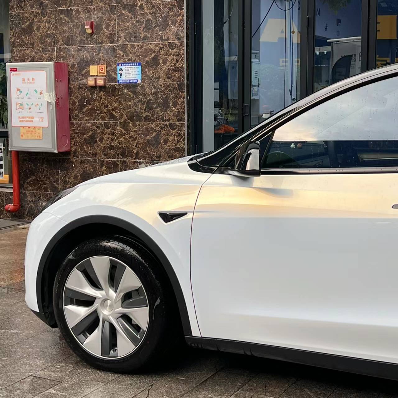 Ravoony Pro TPU Gloss Pearlized White Gold PPF Film