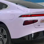Ravoony Pro TPU Glossy Violet Star PPF Film