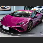 Ravoony Pro TPU Gloss Star Ruby PPF Film