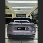 Ravoony Plus PET Glossy Spiritual Realm Purple Car Wrap