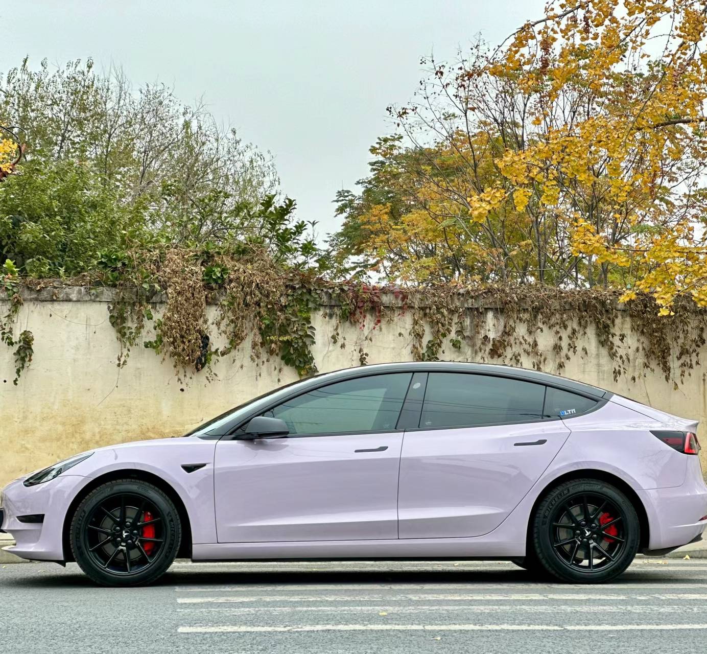 Ravoony Plus PET Glossy Haze Grey Purple Car Wrap