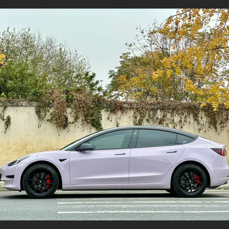 Ravoony Plus PET Glossy Haze Grey Purple Car Wrap