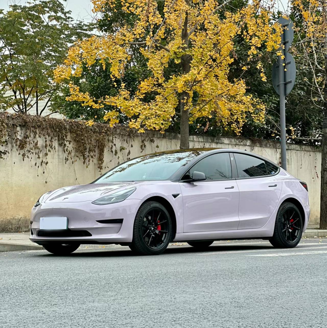 Ravoony Plus PET Glossy Haze Grey Purple Car Wrap