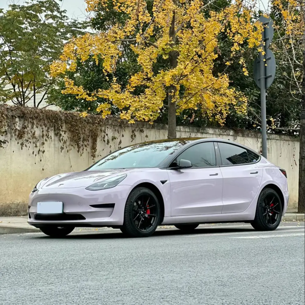 Ravoony Plus PET Glossy Haze Grey Purple Car Wrap