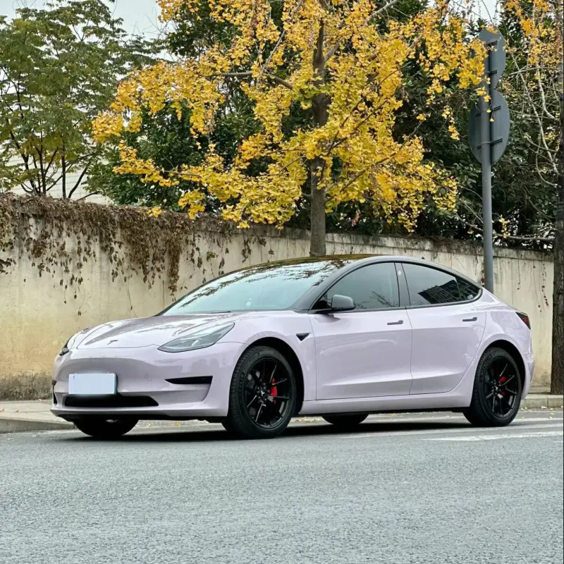 Ravoony Plus PET Glossy Haze Grey Purple Car Wrap