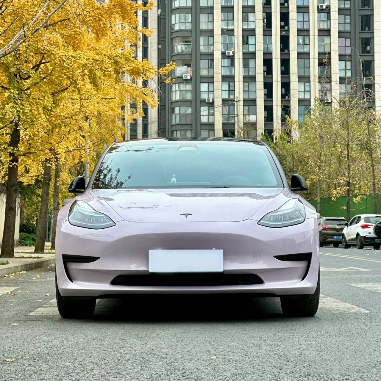 Ravoony Plus PET Glossy Haze Grey Purple Car Wrap