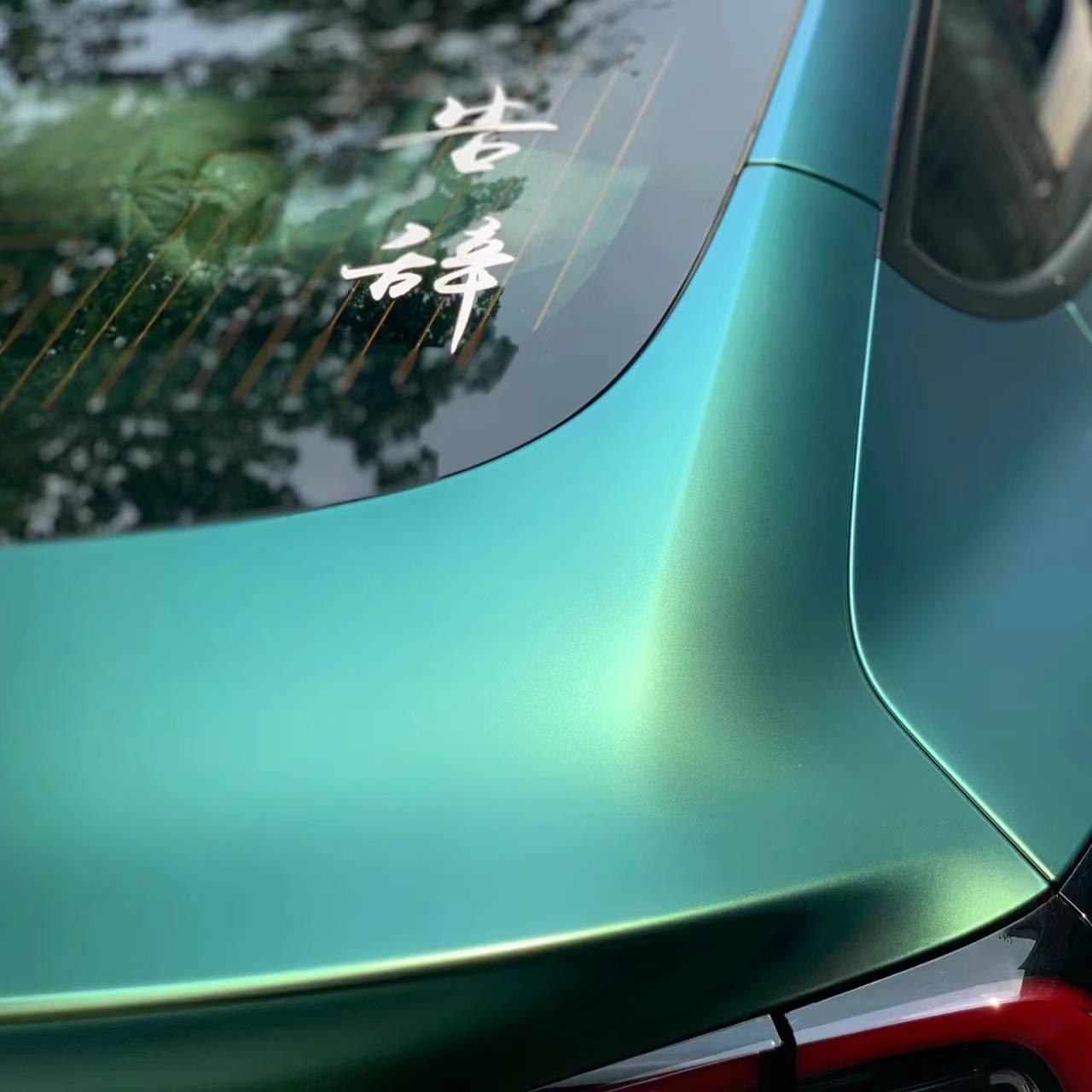 Ravoony Plus Matte Chameleon Spring Green Car Wrap